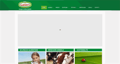 Desktop Screenshot of galtieri.it